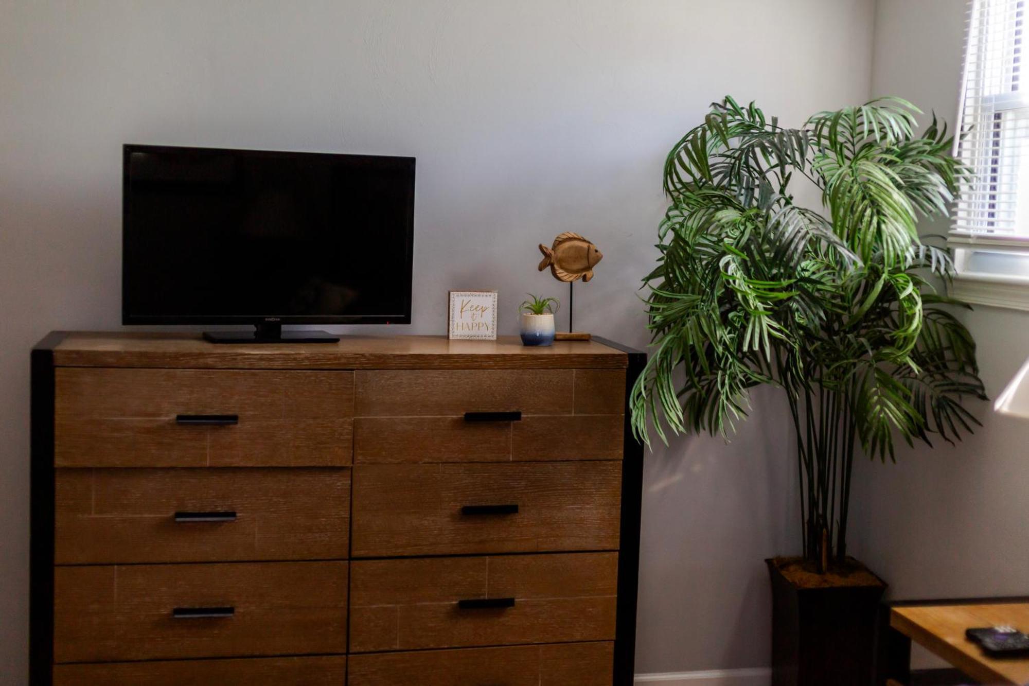 Fantastic 3Br Close To Botanical Gardens And Airport Νόρφολκ Εξωτερικό φωτογραφία