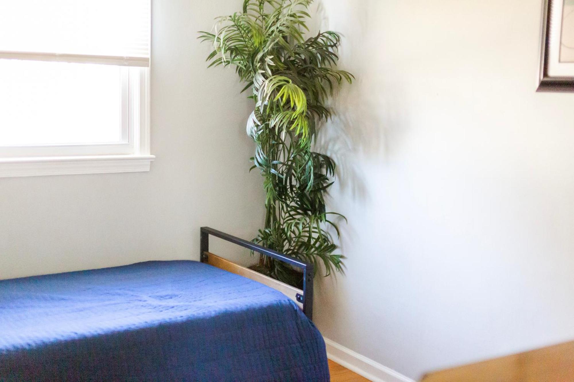 Fantastic 3Br Close To Botanical Gardens And Airport Νόρφολκ Εξωτερικό φωτογραφία