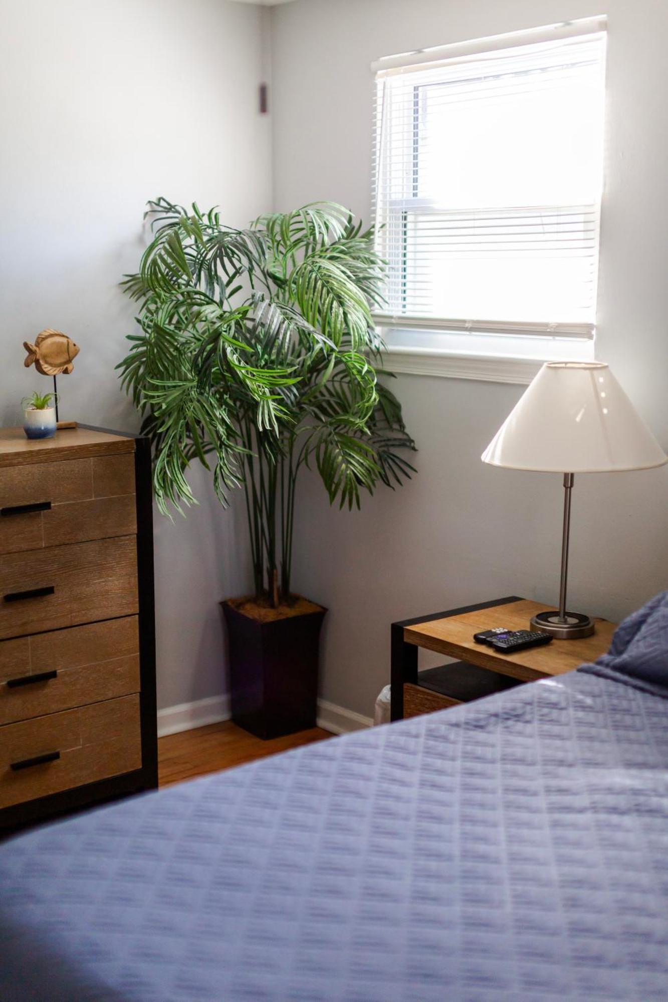 Fantastic 3Br Close To Botanical Gardens And Airport Νόρφολκ Εξωτερικό φωτογραφία