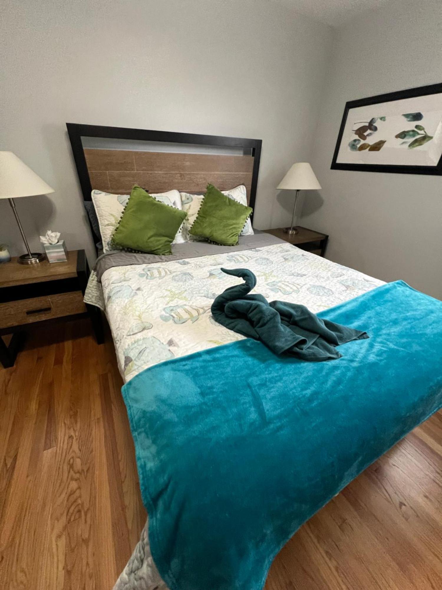 Fantastic 3Br Close To Botanical Gardens And Airport Νόρφολκ Εξωτερικό φωτογραφία